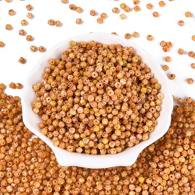 Picasso Glass Seed Beads SEED-N012-04B-1