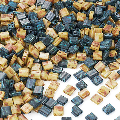 50G 2 Colors 2-Hole Baking Paint Glass Seed Beads SEED-TA0001-70-1