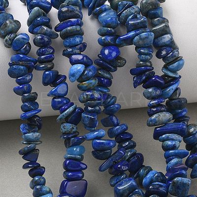 Natural Lapis Lazuli Chip Beads Strands X-G-E271-121-1