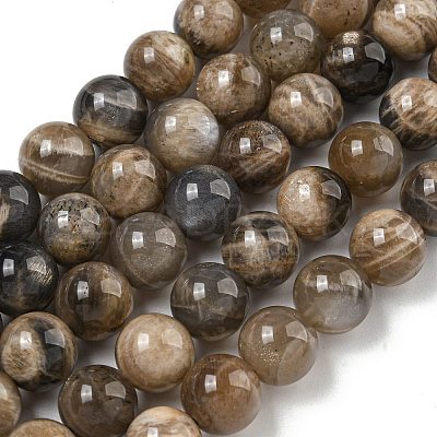 Natural Black Moonstone Beads Strands G-Q183-A01-02-1