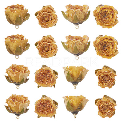 10Pcs Preserved Rose Pendants KY-TA0001-59D-1
