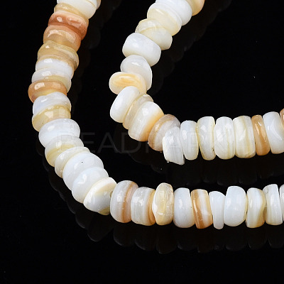 Natural Freshwater Shell Beads Strands SHEL-S278-067G-1