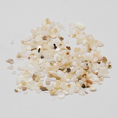 Natural Shell Nuggets Chips Bead SHEL-P004-10-1