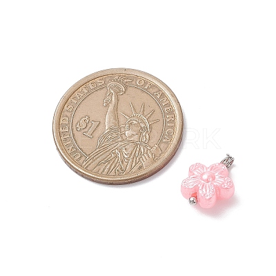 Opaque Acrylic Pendants PALLOY-JF04333-01-1