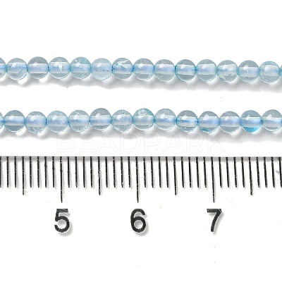 Natural Blue Topaz Beads Strands G-B090-A28-03-1