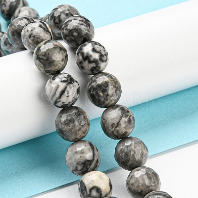 Natural Map Stone/Picasso Stone/Picasso Jasper Beads Strands G-C079-B05-03-1