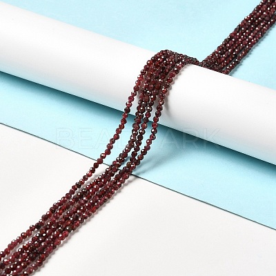 Natural Garnet Beads Strands G-I341-09B-1