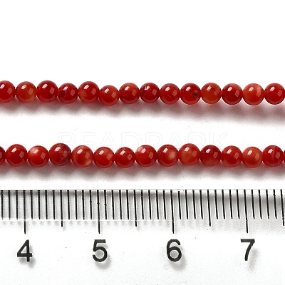 Natural Freshwater Shell Beads Strands SHEL-H003-03G-1