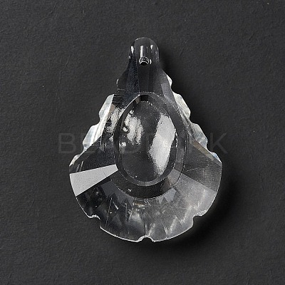 Transparent Glass Pendants GLAA-F118-09-1