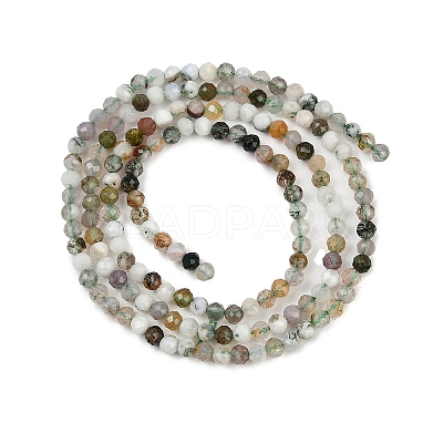 Natural Moss Agate Beads Strands G-RM2025-A33-2mm-1