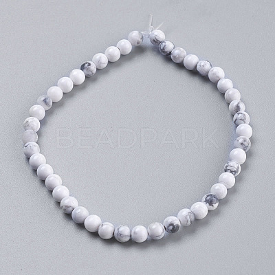 Natural Howlite Beads Strands TURQ-G091-10mm-1