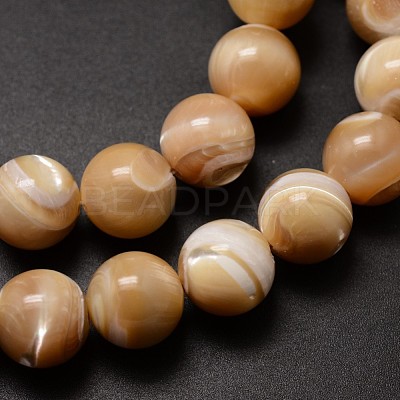 Natural Sea Shell Beads Strands SSHEL-K013-12mm-B-1