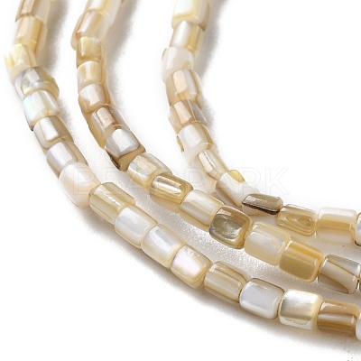 Natural Freshwater Shell Beads Strands X-SSHEL-B002-17-1