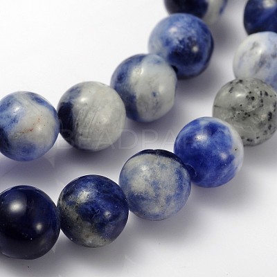 Natural Sodalite Beads Strand GSR10mmC013-1