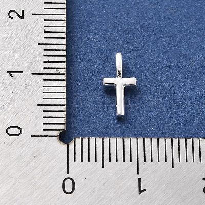 925 Sterling Silver with Cubic Zirconia Charms STER-Q004-01T-S-1