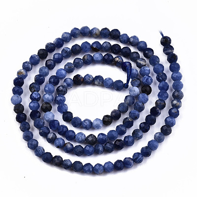 Natural Sodalite Beads Strands G-S362-070-1