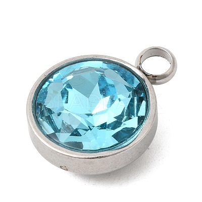 Birthstone Theme December 304 Stainless Steel Pendants STAS-G082-17P-12-1