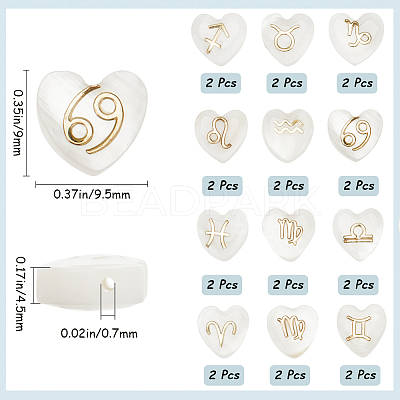 24Pcs 12 Styles Natural White Shell Beads BSHE-SP0001-01-1