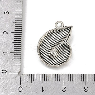 Tibetan Style Alloy Pendants PALLOY-V008-01B-AS-1