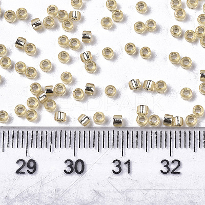 Glass Seed Beads X1-SEED-S042-04A-05-1
