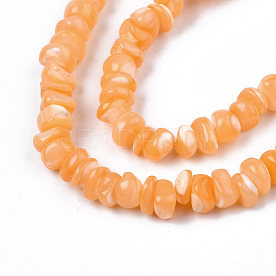Natural Sea Shell Beads Strands SSHEL-S278-131E-1
