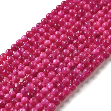 Natural Freshwater Shell Beads Strands X-SHEL-H003-03F-1
