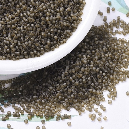 MIYUKI Delica Beads X-SEED-J020-DB0384-1