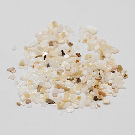 Natural Shell Nuggets Chips Bead SHEL-P004-10-1