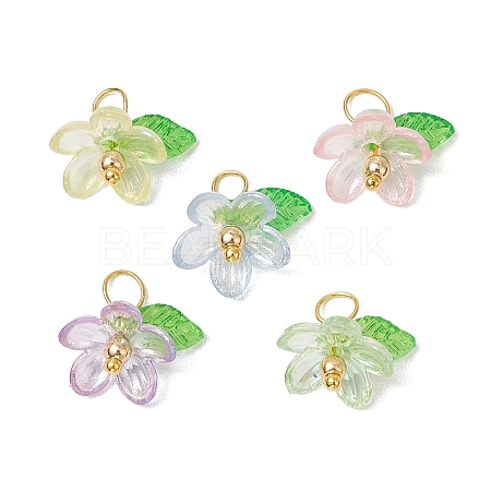Plastic & Acrylic Pendants PALLOY-JF03053-01-1