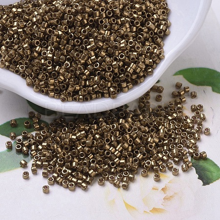 MIYUKI Delica Beads SEED-X0054-DB0022L-1