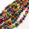 Dyed Chip Natural Freshwater Shell Beads Strands X-SHEL-E355-16-1