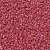 MIYUKI Delica Beads Small SEED-X0054-DBS0874-3