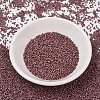 MIYUKI Delica Beads X-SEED-J020-DB1167-2