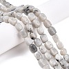 Natural Labradorite Beads Strands G-T138-85-1