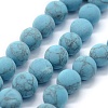 Synthetic Turquoise Beads Strands G-P387-01-10mm-1