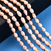 Natural Cultured Freshwater Pearl Beads Strands PEAR-N012-03M-6
