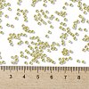 TOHO Round Seed Beads SEED-JPTR11-0295-4