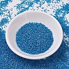 MIYUKI Delica Beads X-SEED-J020-DB0862-2