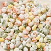 Baking Paint Glass Seed Beads X1-SEED-F006-01A-11-3