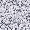 Glass Seed Beads SEED-S042-07A-06-3