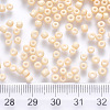 12/0 Baking Paint Glass Round Seed Beads SEED-S036-01A-19-3