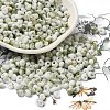 Baking Paint Glass Seed Beads X1-SEED-F006-01A-05-1