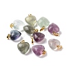 Natural Fluorite Pendants G-I311-A36-G-3
