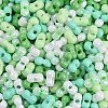 Glass Seed Beads SEED-K010-03H-2