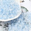 Frosted Glass Beads X1-FGLA-D300-01K-1