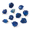 10Pcs Preserved Rose Pendants KY-TA0001-59A-3