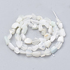 Natural White African Opal Beads Strands G-S339-14C-2