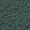 MIYUKI Round Rocailles Beads X-SEED-G009-RR4481-2