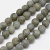 Natural Labradorite Frosted Bead Strands G-O155-04A-8mm-1