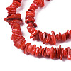 Natural Freshwater Shell Beads Strands X-SHEL-S278-071A-3